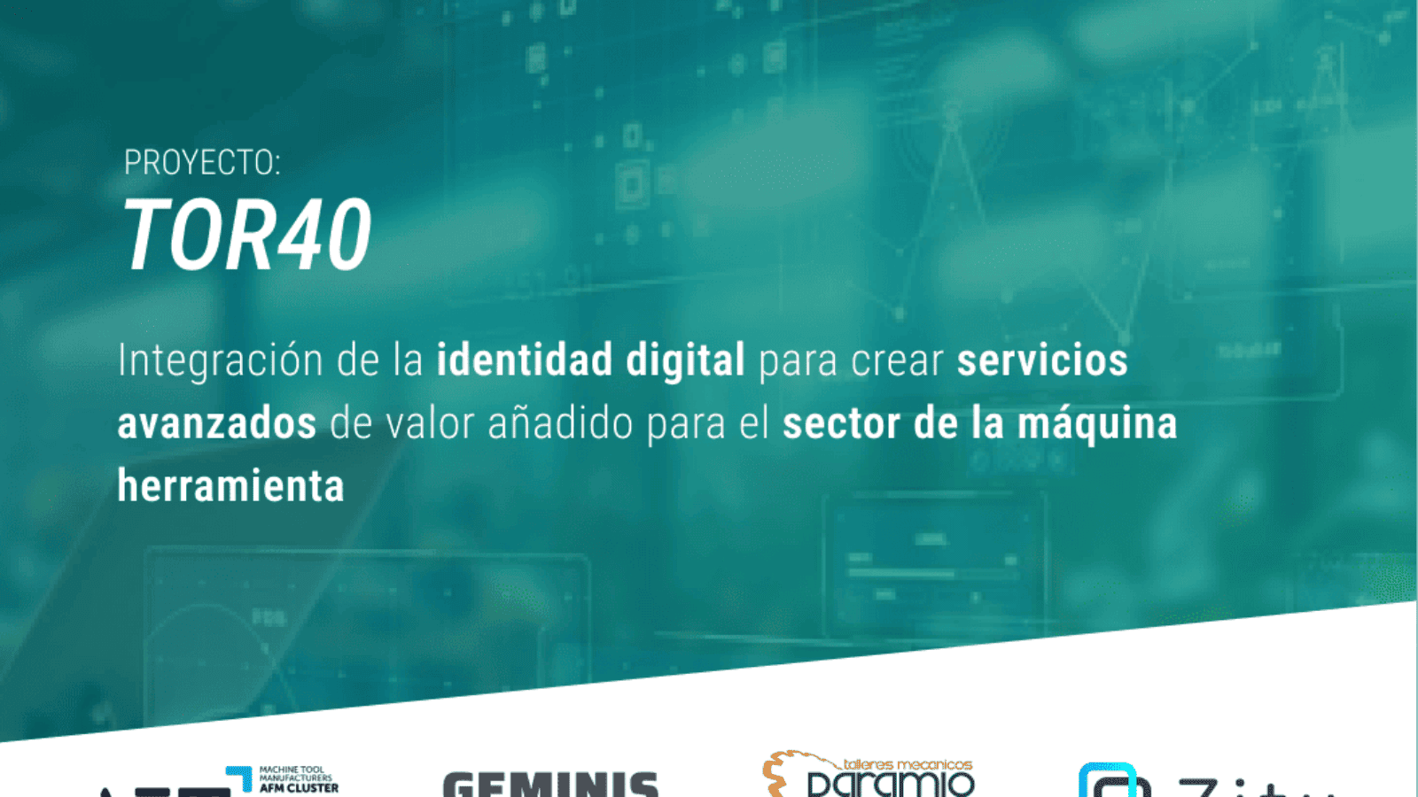 Proyecto TOR40